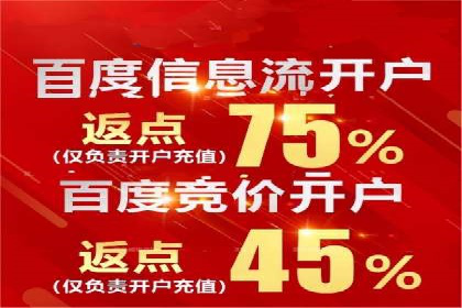 百度网络推广实战技巧：案例解析，让广告投放更精准